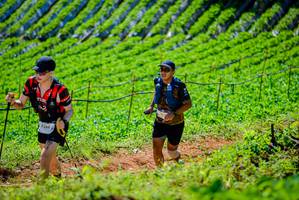 BIB: 2284
                            <button type="button" onclick="openModal(19163250)" class="btn btn-primary btn-sm float-right btn-popup" data-toggle="modal" data-target=".modal-high-quality">
                        <i class="fas fa-shopping-cart"></i> Add to Cart
                    </button>
                                            <button type="button" onclick="isThisMe(19163250, true)" class="btn btn-success btn-sm float-right btn-popup btn-isme hidden" data-toggle="tooltip" data-placement="bottom" title="นี่คือรูปของคุณใช่ไหม คลิกที่นี่เพื่อเอาเข้าอัลบั้ม">
                        <i class="fas fa-plus"></i> Add to album
                    </button>
                    <button type="button" onclick="isThisMe(19163250, false)" class="btn btn-warning btn-sm float-right btn-popup btn-isnotme hidden">
                        <i class="fas fa-ban"></i> Remove from album
                    </button>